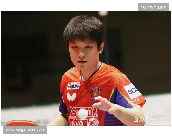 天才张本智和被淘汰的五大原因深度剖析与未来展望